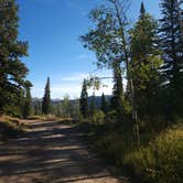 Review photo of Avintaquin Campground by Sue B., September 14, 2026