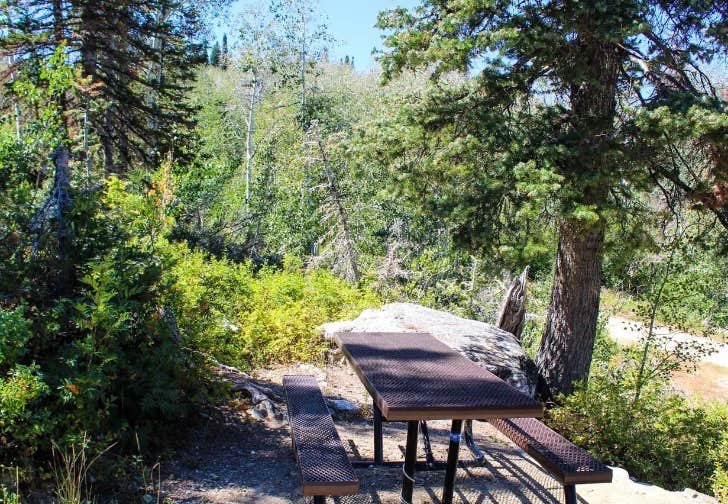 Camper-submitted photo at Bountiful Peak Campground near Salt Lake City, UT