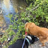 Review photo of Cache/Box Elder by NikNak  L., May 2, 2026