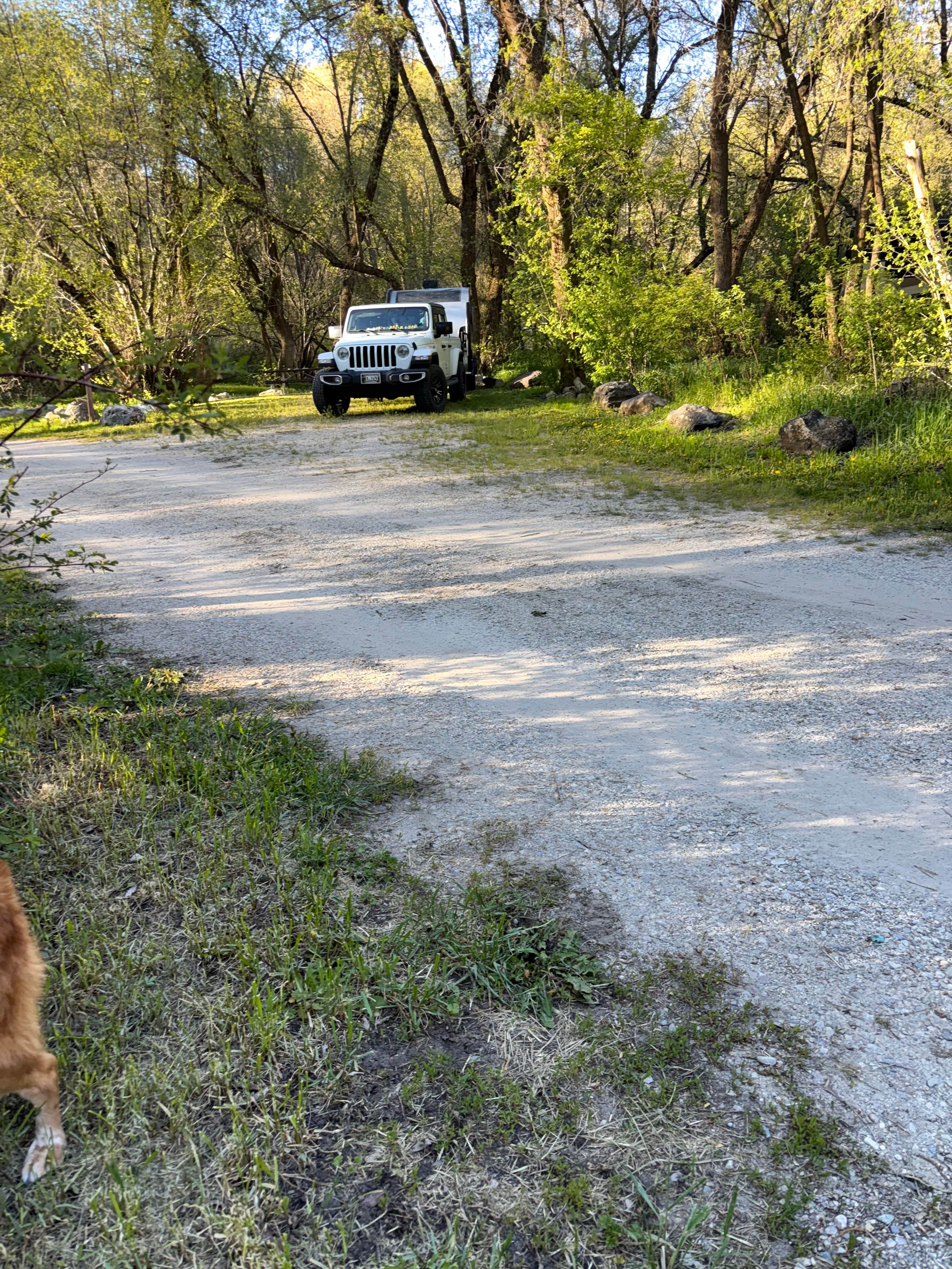 NikNak  L.'s photo of camping with pets at Cache/Box Elder near Uinta-Wasatch-Cache National Forest