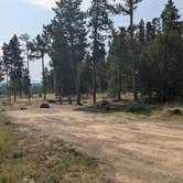 Review photo of Browne Lake Group Sites by Greg L., July 23, 2024