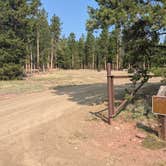 Review photo of Browne Lake Group Sites by Greg L., July 23, 2024