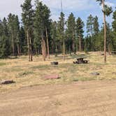 Review photo of Browne Lake Group Sites by Greg L., July 23, 2024