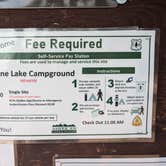 Review photo of Browne Lake Group Sites by Greg L., July 23, 2024