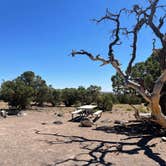 Review photo of Cathedral Valley Campground — Capitol Reef National Park by Azaali J., August 1, 2024