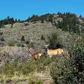 Review photo of Cathedral Valley Campground — Capitol Reef National Park by Joshua M., February 20, 2025