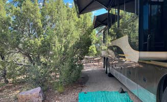 Tom D.'s photo at Cedar Springs Campground near Ashley National Forest
