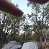 Review photo of Cedar Springs Campground by Greebly M., June 21, 2025