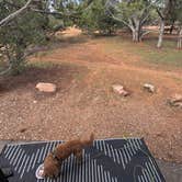 Review photo of Coral Pink Sand Dunes State Park Campground by Kristen D., September 15, 2026