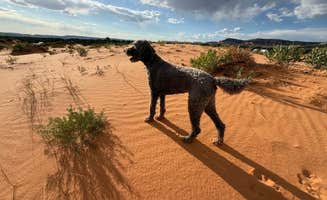 Kerri M.'s photo of camping with pets at Coral Pink Sand Dunes State Park Campground near Kanab, UT