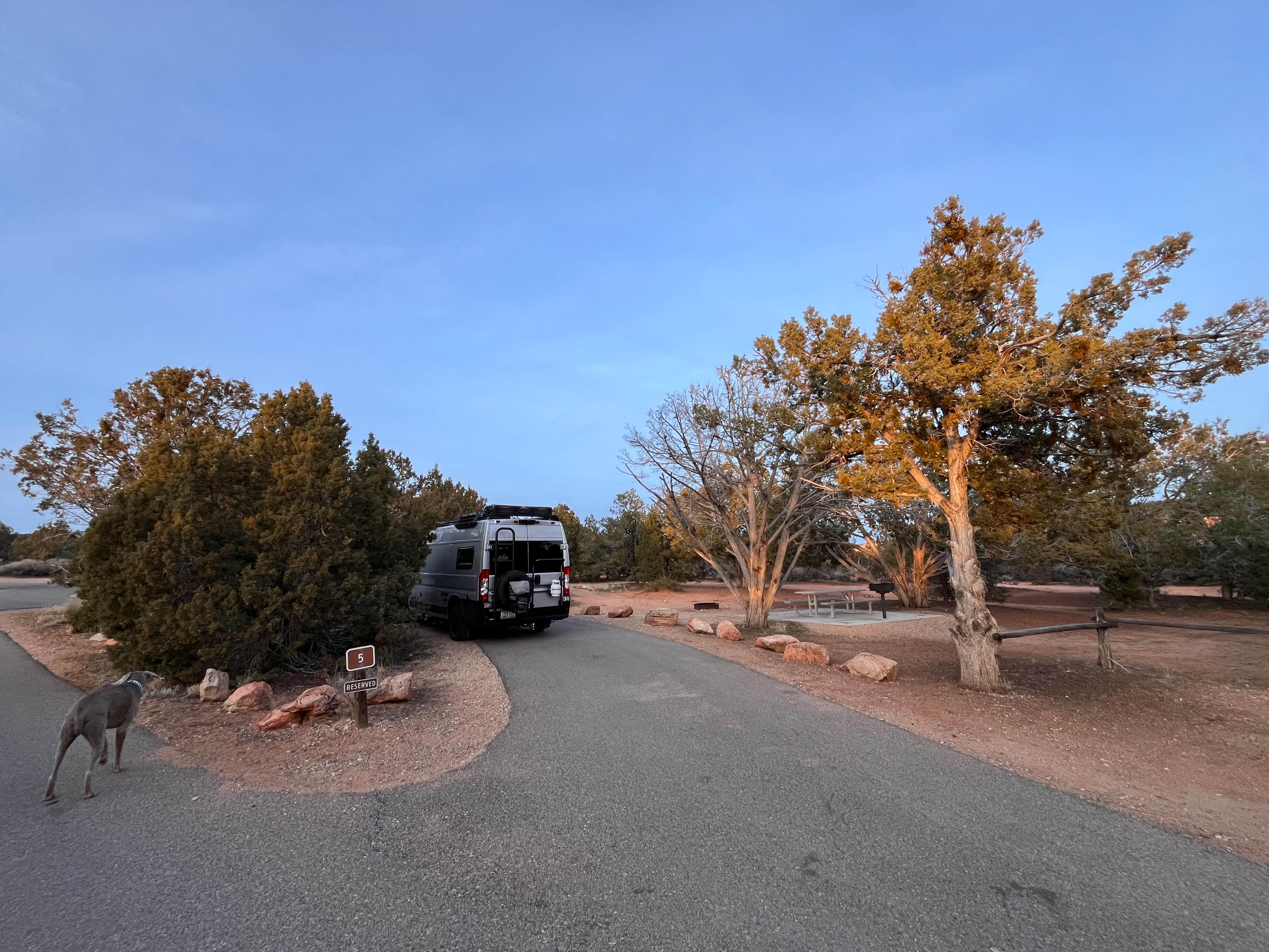Julie F.'s photo of camping with pets at Coral Pink Sand Dunes State Park Campground near Kanab, UT