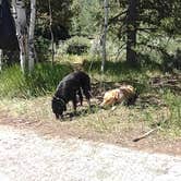 Review photo of Currant Creek by Kindra C., June 28, 2026