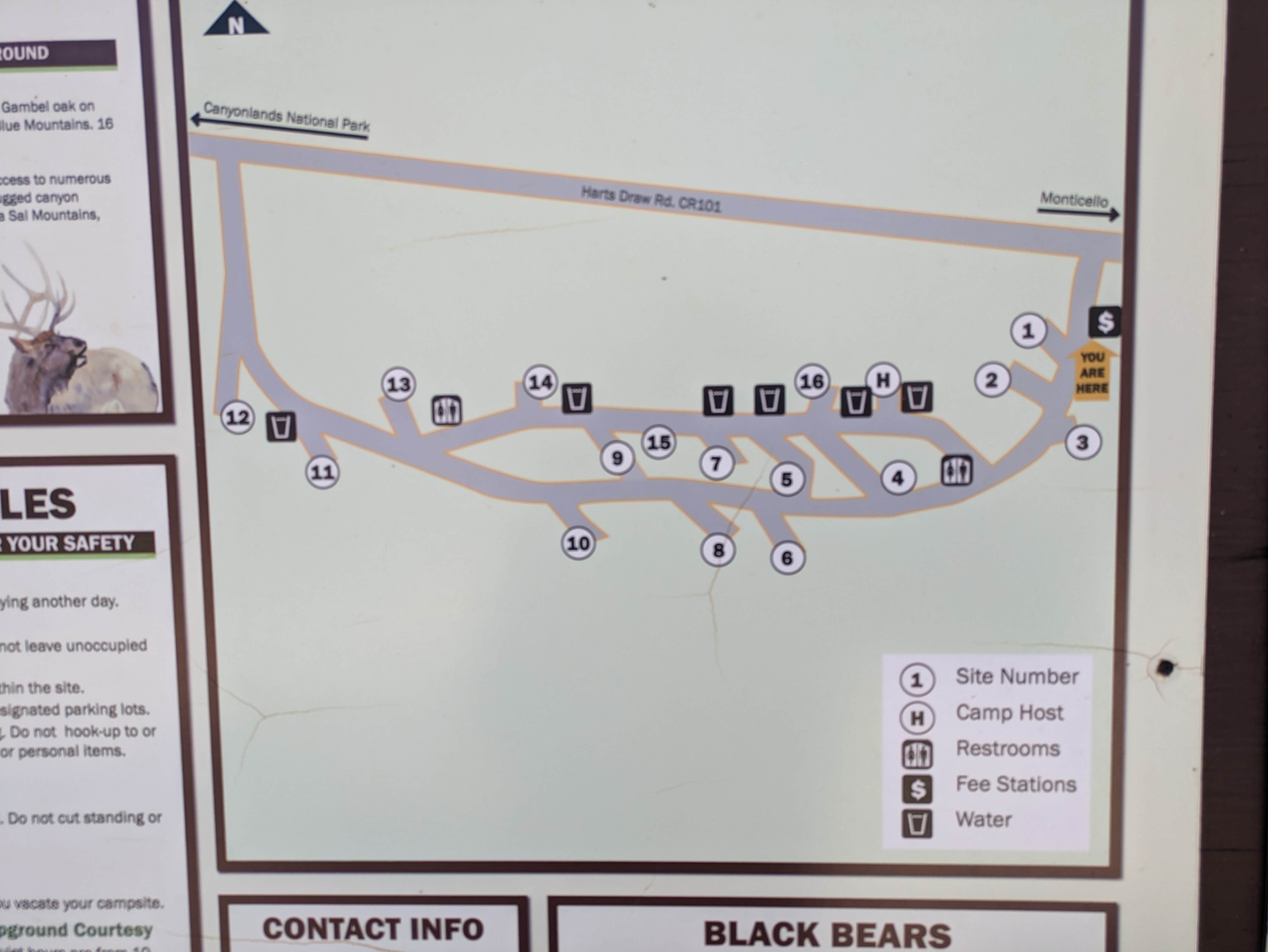 Camper-submitted photo at Dalton Springs Campground near Monticello, UT