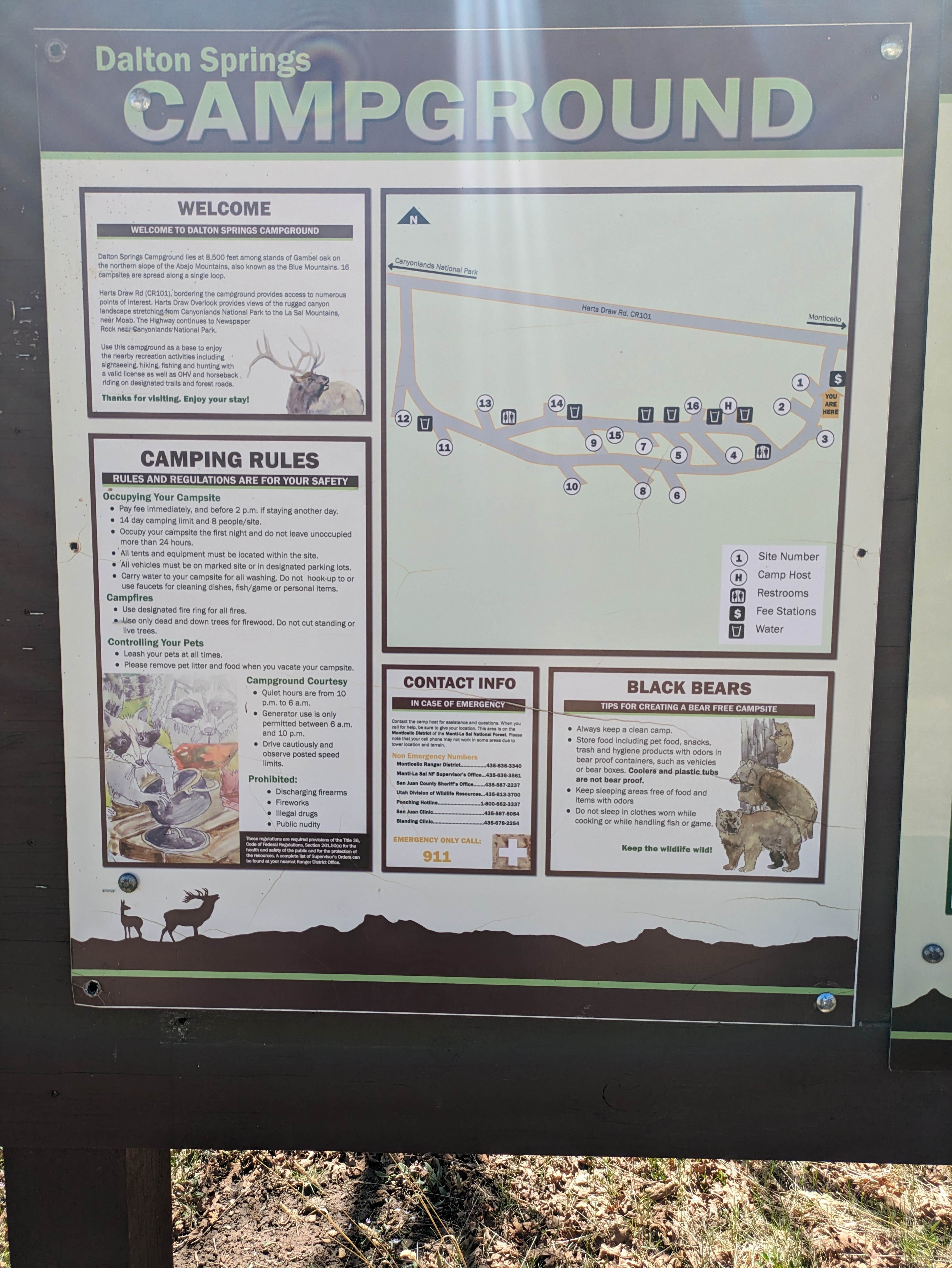 Camper-submitted photo at Dalton Springs Campground near Monticello, UT