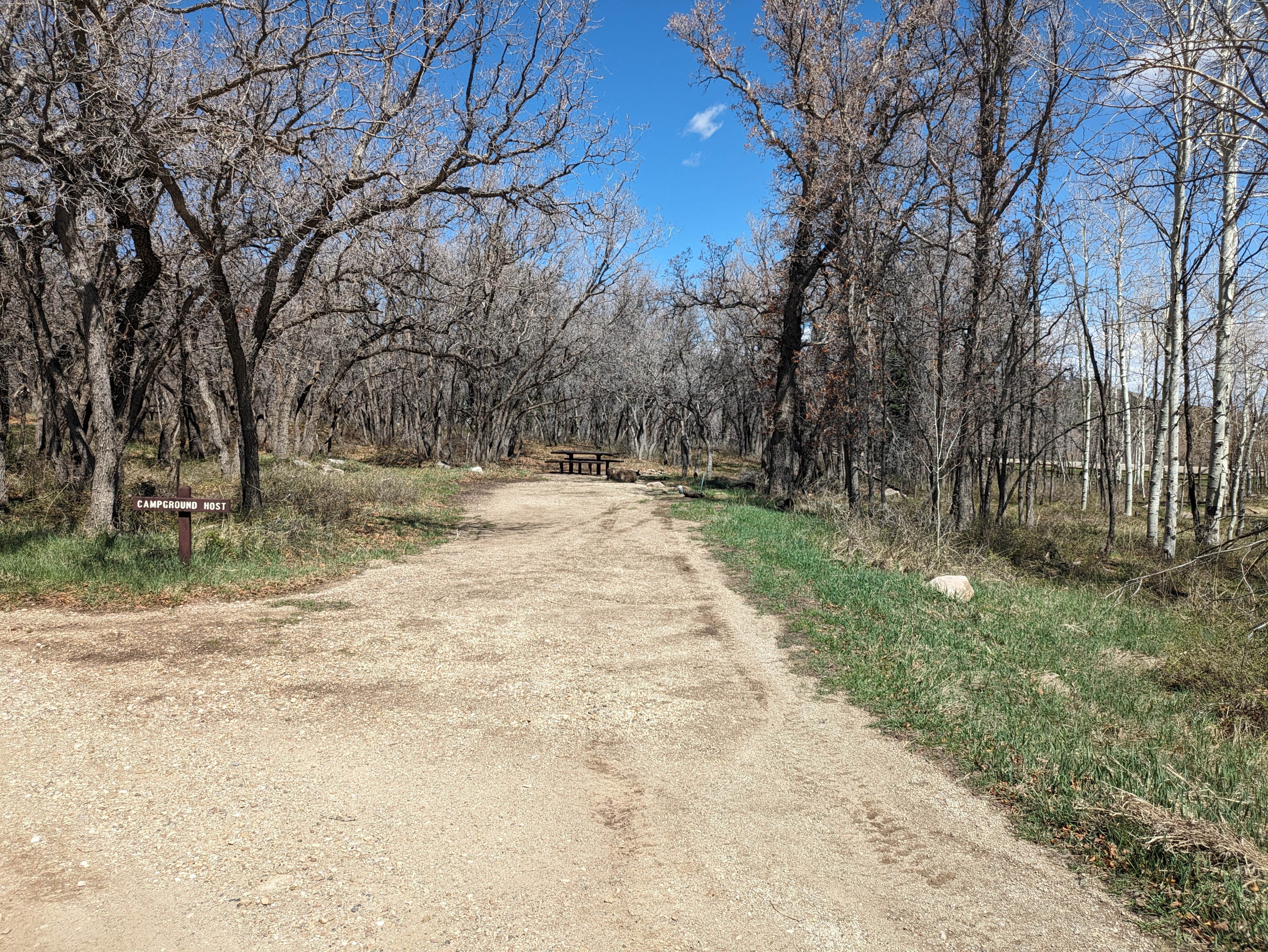 Camper-submitted photo at Dalton Springs Campground near Monticello, UT
