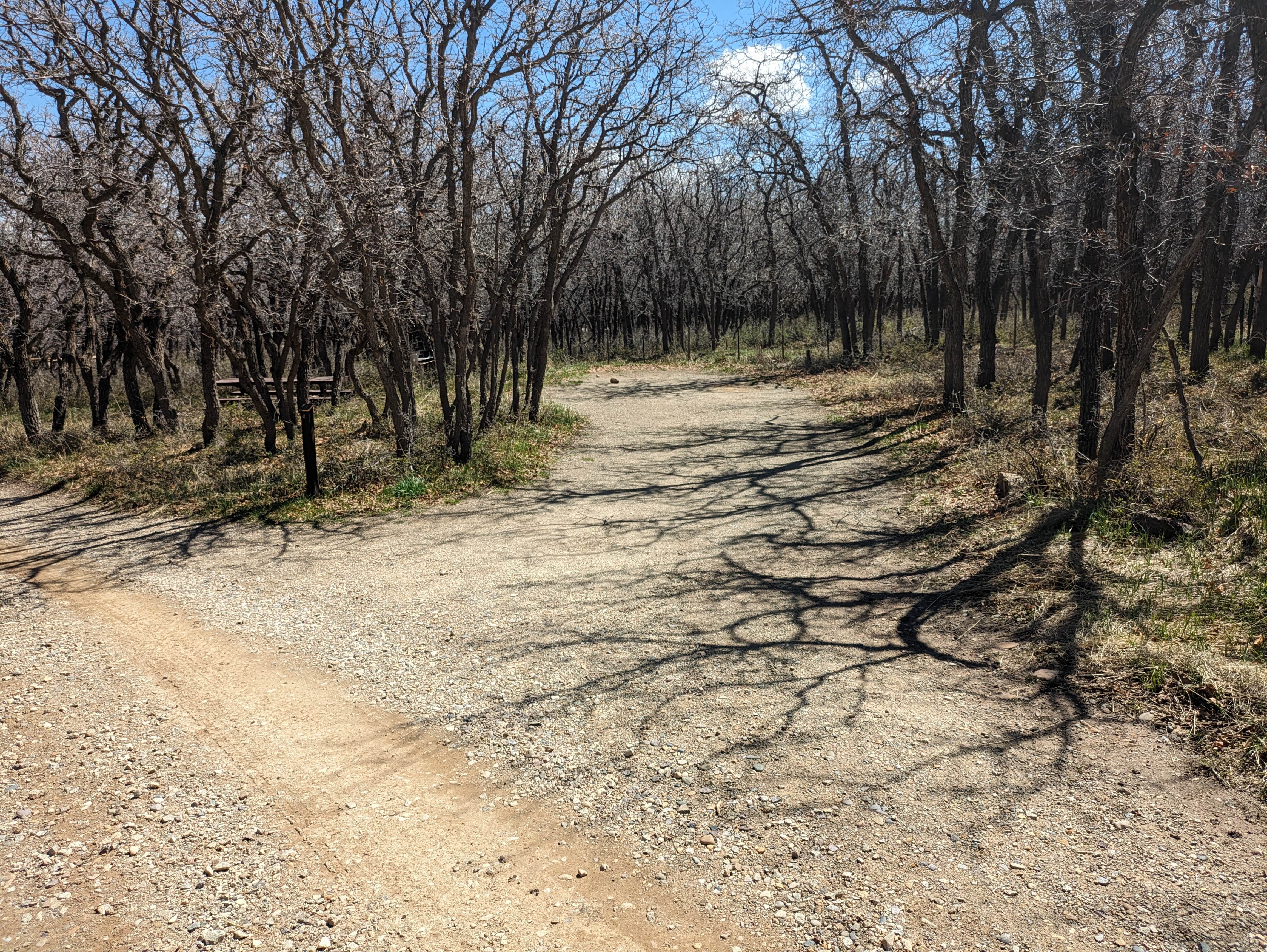 Camper submitted image from Dalton Springs Campground - 3