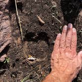 Review photo of Deer Run Campground by Chuck S., October 4, 2025