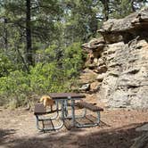 Review photo of Devils Canyon Campground by Alison C., September 22, 2025