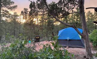 Jerrin W.'s photo at Devils Canyon Campground near Monticello, UT