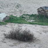 Review photo of Dewey Bridge Group Sites by kevin M., December 9, 2025