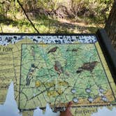 Review photo of Diamond Campground by MaryAnn , June 8, 2026