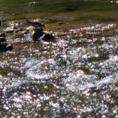 Review photo of Diamond Campground by MaryAnn , June 8, 2026