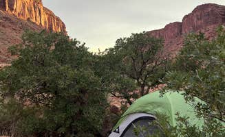 Taylor M.'s photo at Drinks Canyon Camping Area near Castle Valley, UT