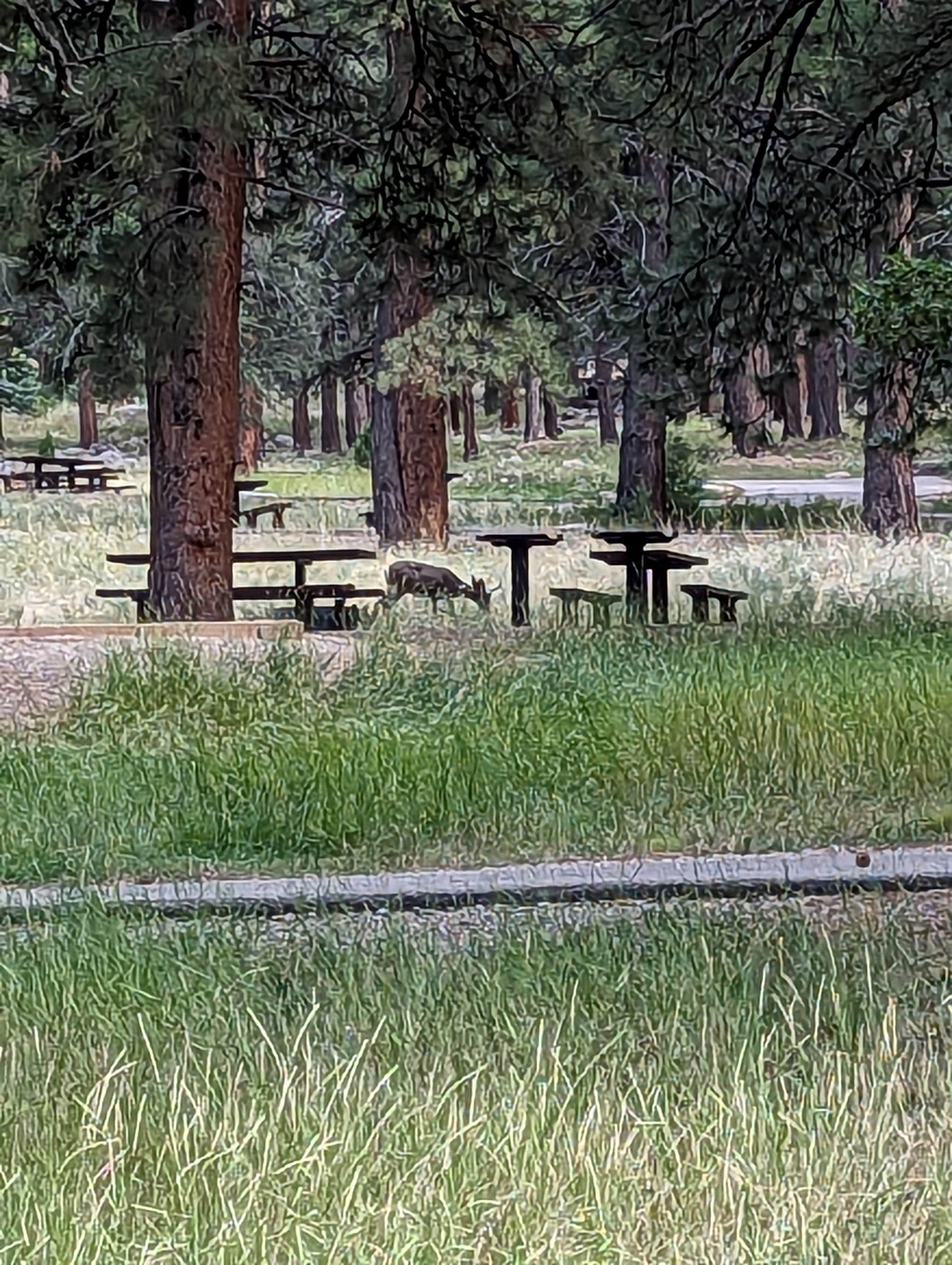 Camper-submitted photo at Ebenezer Bryce Campground near Veyo, UT