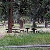 Review photo of Ebenezer Bryce Campground by Michael G., September 15, 2023