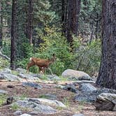 Review photo of Ebenezer Bryce Campground by Michael G., September 15, 2023