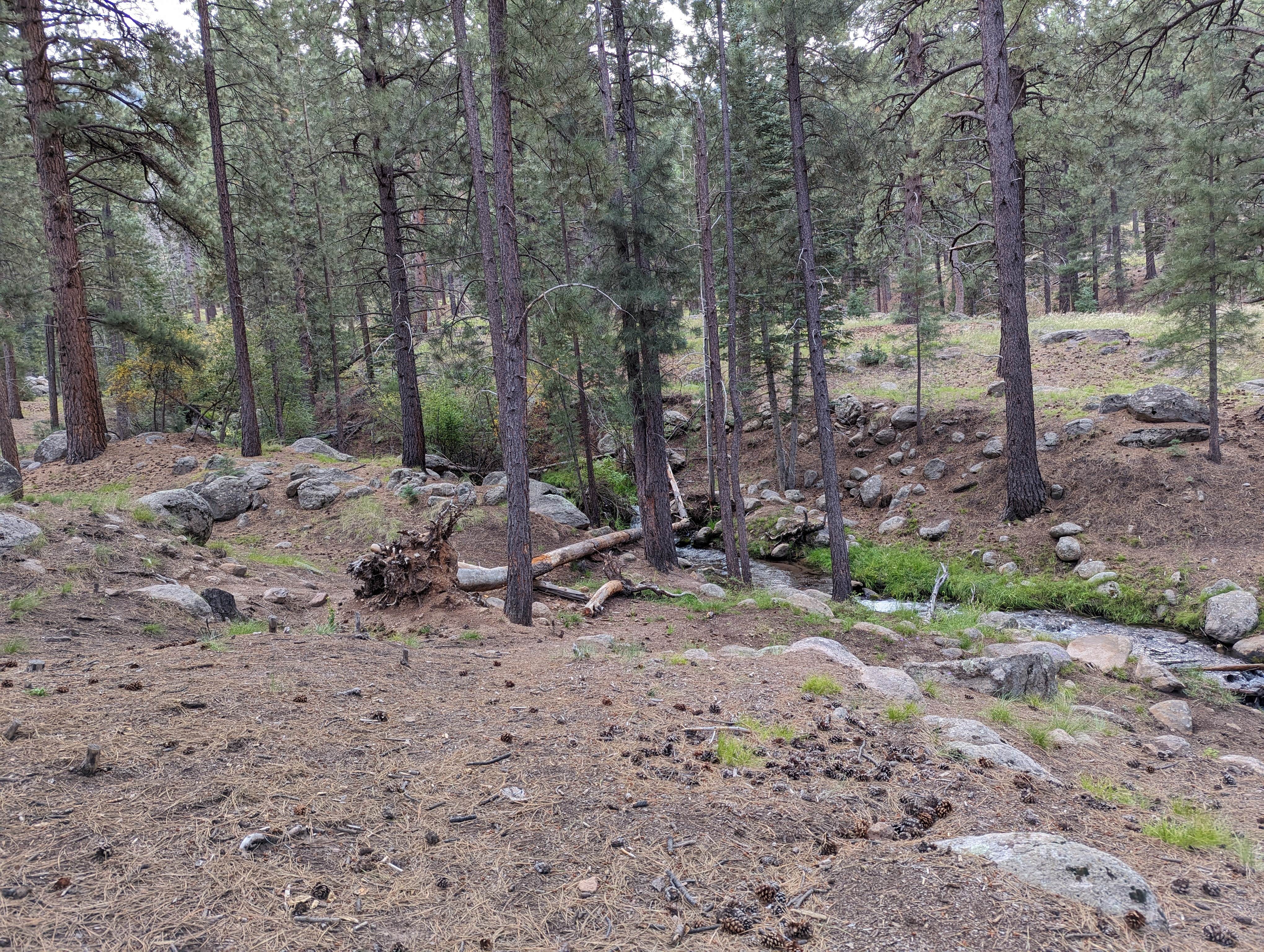 Camper-submitted photo at Ebenezer Bryce Campground near Veyo, UT