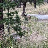 Review photo of Ebenezer Bryce Campground by Michael G., September 15, 2023