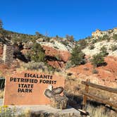 Review photo of Lake View RV Campground - Escalante Petrified Forest State Park by Kelly L., October 7, 2023