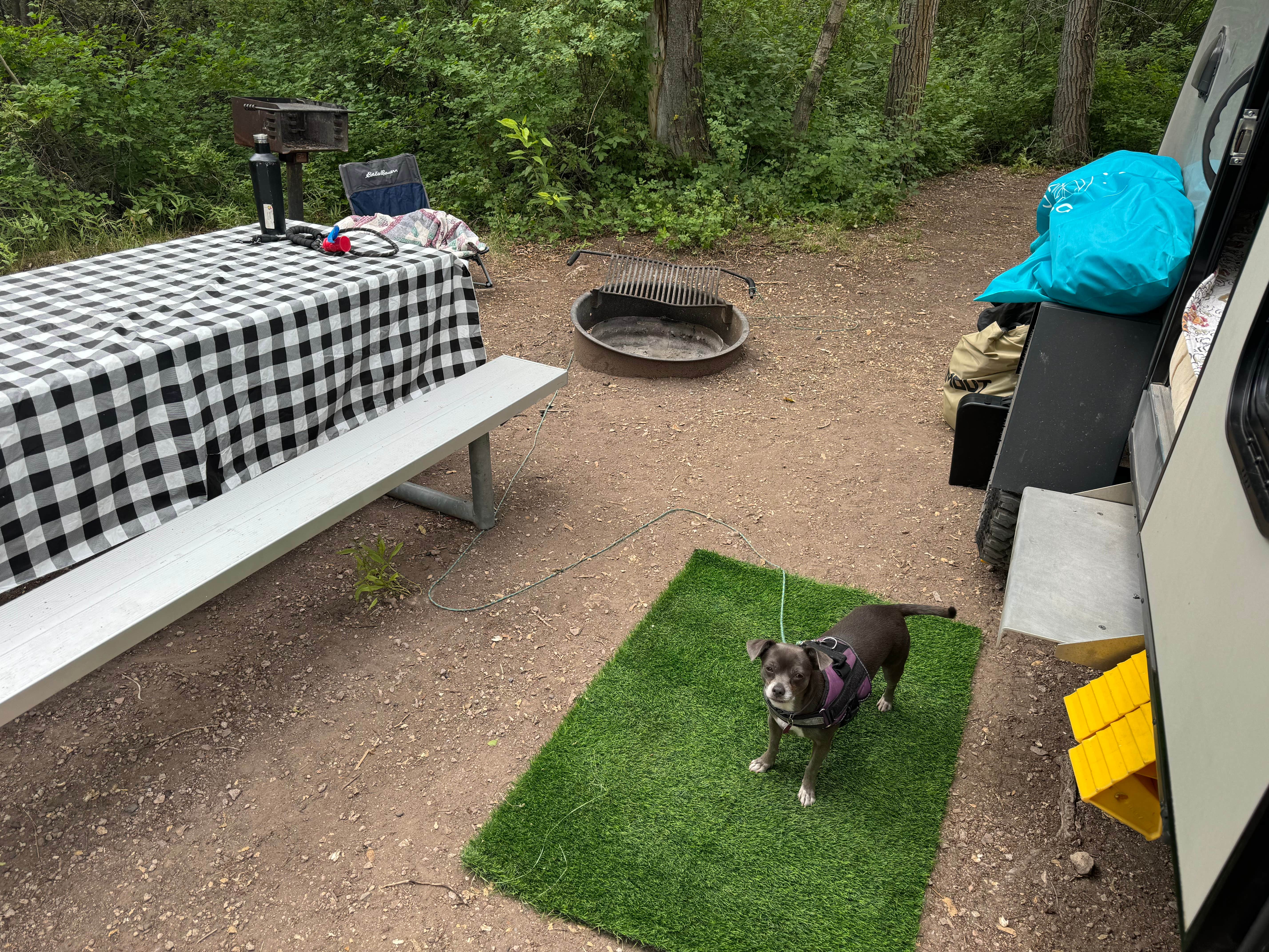 Dianna L.'s photo of camping with pets at Castle Rock Campground — Fremont Indian State Park near Milford, UT