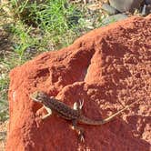 Review photo of Gold Bar Group Sites by Jennifer , May 28, 2026