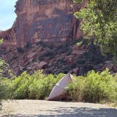 Review photo of Goose Island Campground by Sanda A., July 15, 2025