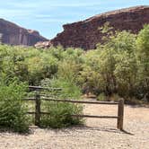 Review photo of Goose Island Campground by Sanda A., July 15, 2025