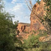 Review photo of Goose Island Campground by Sanda A., July 15, 2025