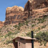 Review photo of Goose Island Campground by Sanda A., July 15, 2025
