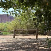 Review photo of Goose Island Campground by Sanda A., July 15, 2025