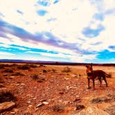 Review photo of Goosenecks State Park by Marasha , July 6, 2024