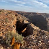 Review photo of Goosenecks State Park Campground by Marasha , July 6, 2024