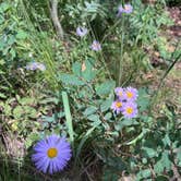 Review photo of Granite Flat (utah) by Lance J., July 15, 2026