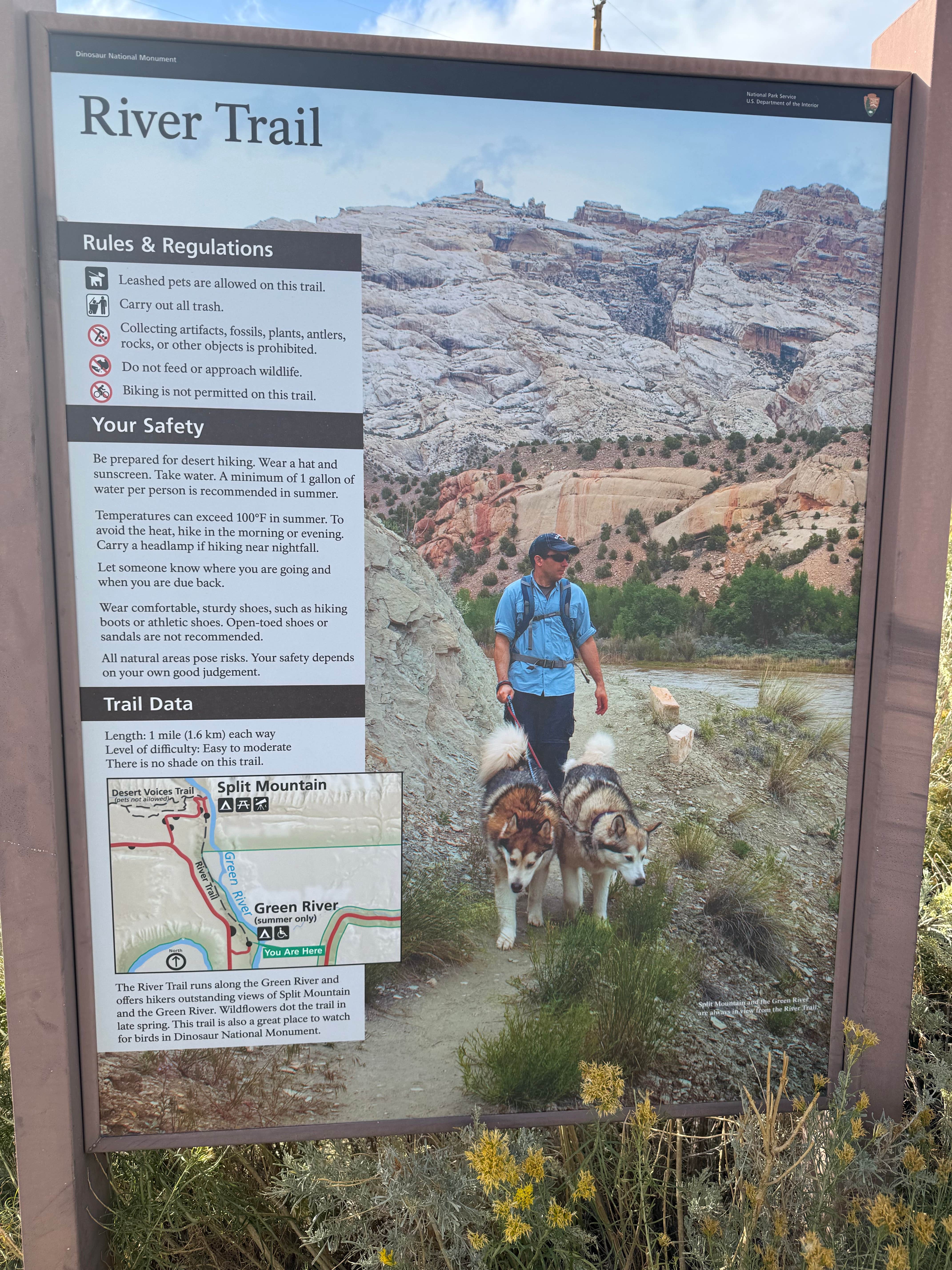 Kim G.'s photo of camping with pets at Green River Campground — Dinosaur National Monument near Jensen, UT