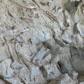 Review photo of Green River Campground — Dinosaur National Monument by Brent W., June 2, 2026
