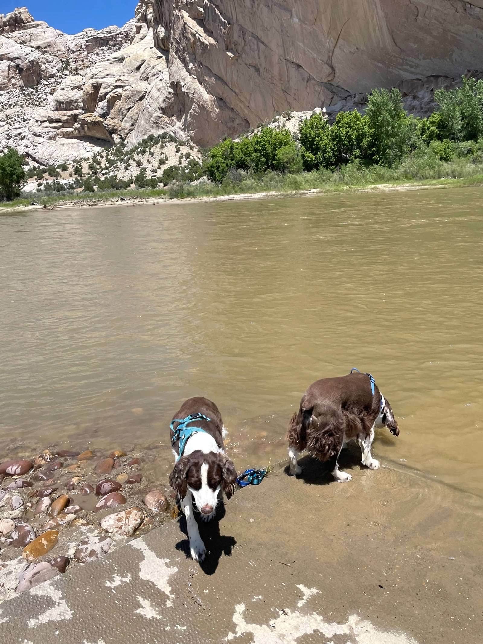 Joel R.'s photo of camping with pets at Green River Campground — Dinosaur National Monument near Whiterocks, UT
