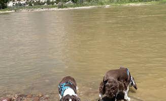 Joel R.'s photo of camping with pets at Green River Campground — Dinosaur National Monument near Vernal, UT