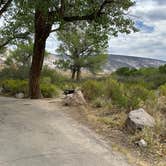 Review photo of Green River Campground — Dinosaur National Monument by Maureen G., July 27, 2026