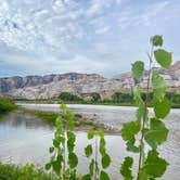 Review photo of Green River Campground — Dinosaur National Monument by Janet K., August 20, 2024