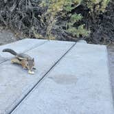 Review photo of Green River Campground — Dinosaur National Monument by johny R., July 13, 2025